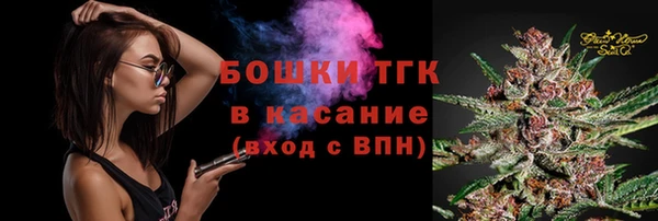 шишки Аркадак