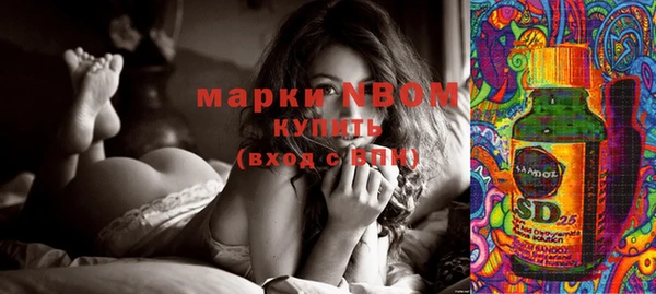 шишки Аркадак