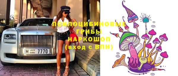 шишки Аркадак