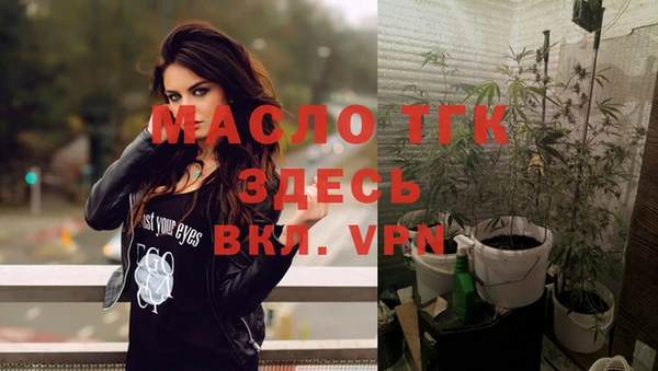 шишки Аркадак