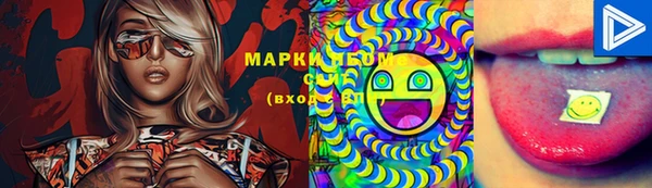 крисы Армянск