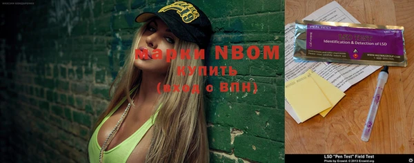 шишки Аркадак