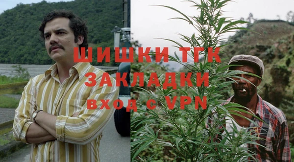 шишки Аркадак