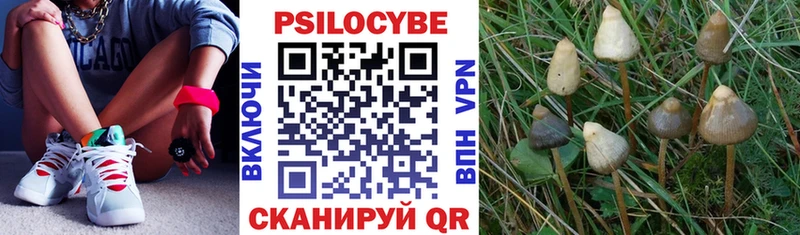 mega ТОР Баксан Галлюциногенные грибы Psilocybe что такое наркотик